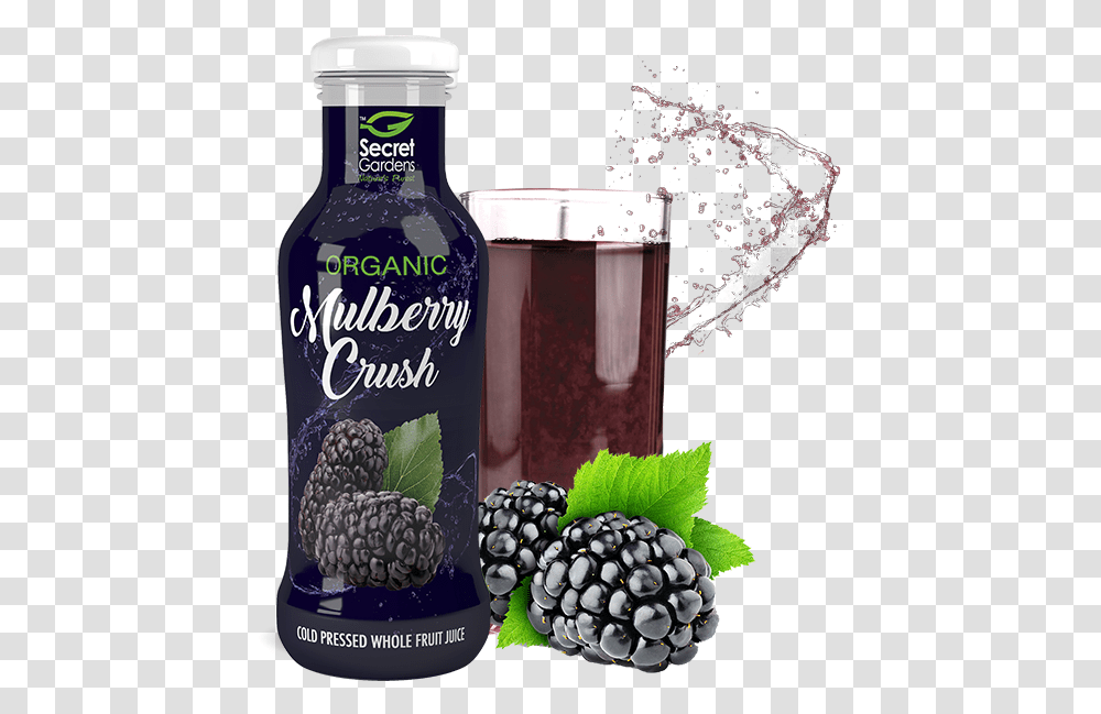 Mulberry Juices, Raspberry, Fruit, Plant, Food Transparent Png