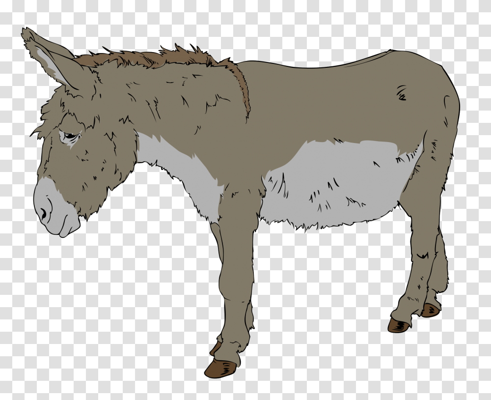 Mule Clipart Old Donkey Free Benjamin The Donkey Animal Farm, Mammal, Coyote, Wildlife Transparent Png