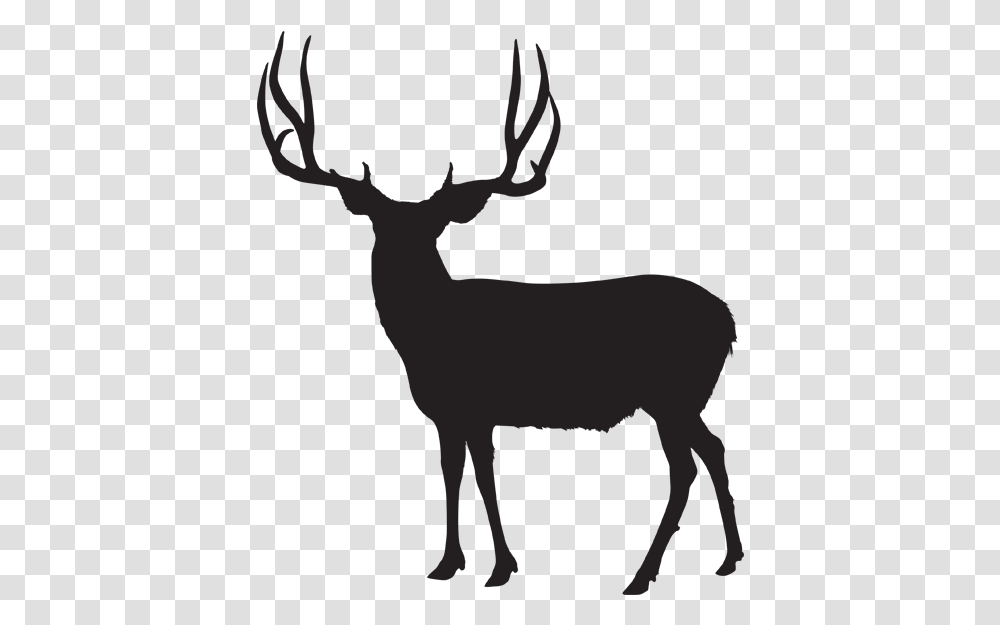 Mule Deer Antlers Silhouette Vector Mule Deer Silhouette, Elk, Wildlife, Mammal, Animal Transparent Png