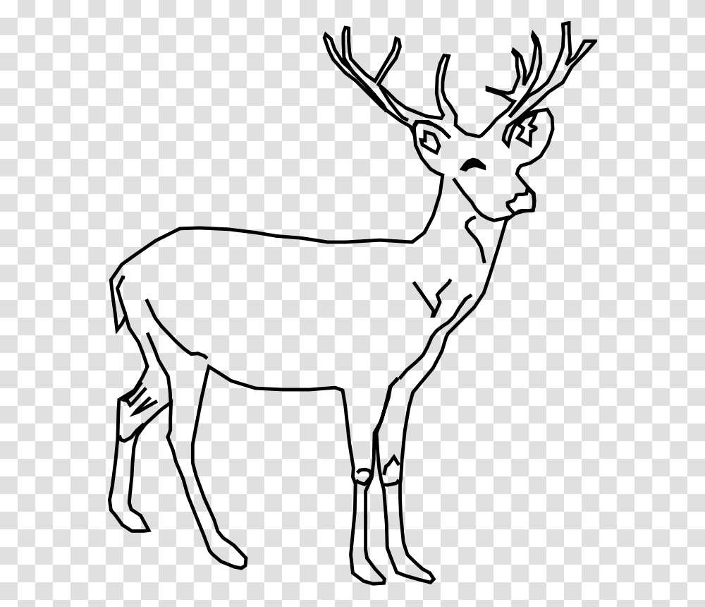 Mule Deer Clip Art, Gray, World Of Warcraft Transparent Png