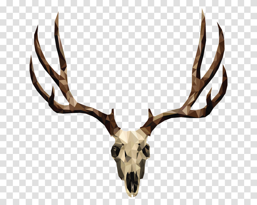 Mule Deer Skull Drawing Deer Antler, Bow Transparent Png