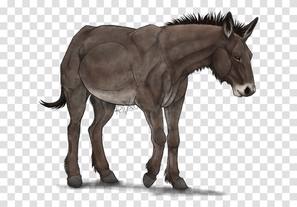 Mule Mule, Horse, Mammal, Animal, Elephant Transparent Png