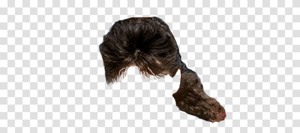 Mullet 3 Image Mullet, Nature, Person, Human, Plant Transparent Png