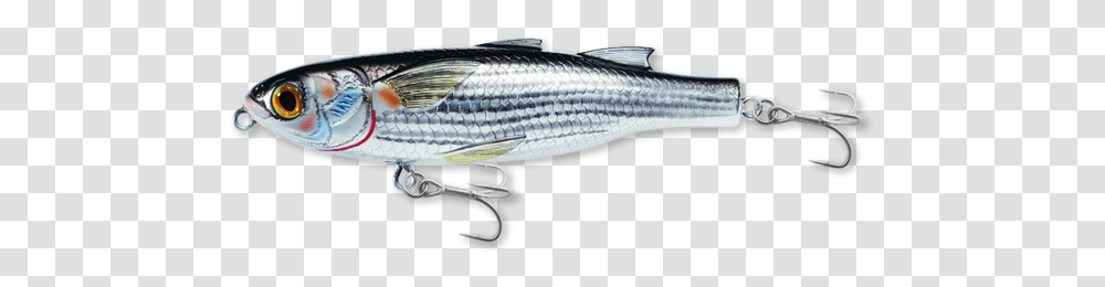 Mullet Walking Bait Striper Bass, Fish, Animal, Sea Life, Herring Transparent Png