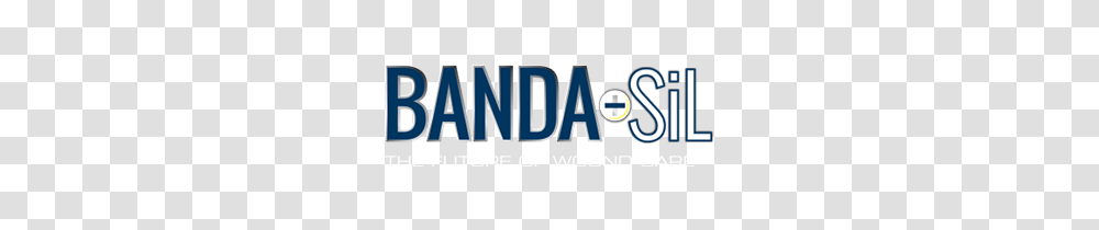 Multi Channel Fulfillment For Banda Sil From Ashland Virginia, Word, Alphabet, Urban Transparent Png