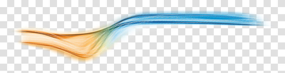 Multi Color Waves, Outdoors, Nature Transparent Png
