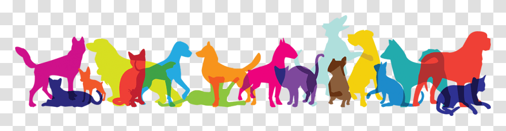 Multicolor Pets Cartoon, Horse, Mammal, Animal, Foal Transparent Png