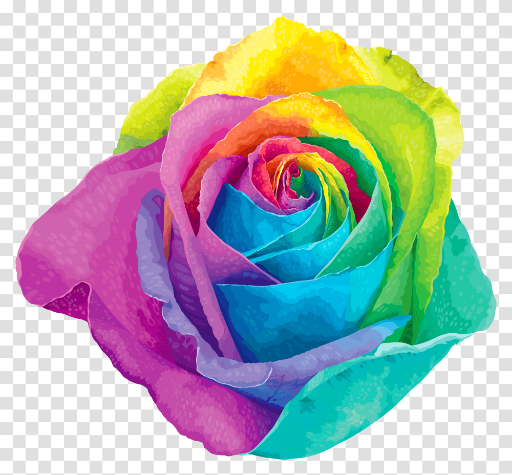 Multicolored Rainbow Rose Clip Art Image Rainbow Flower Transparent Png