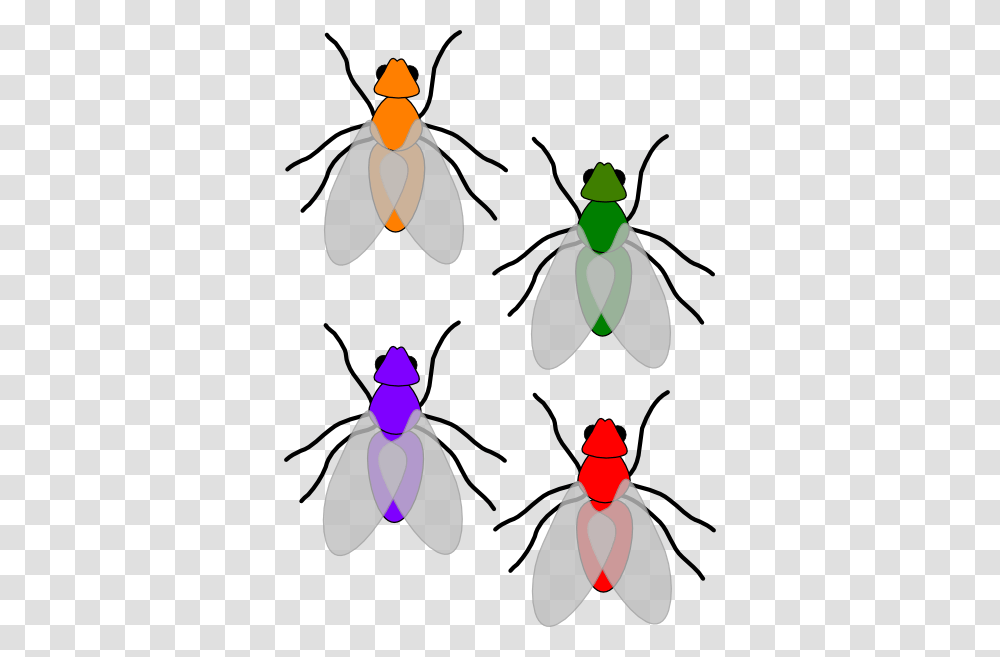 Multicoloured Flies Clip Art, Animal, Invertebrate, Insect, Penguin Transparent Png