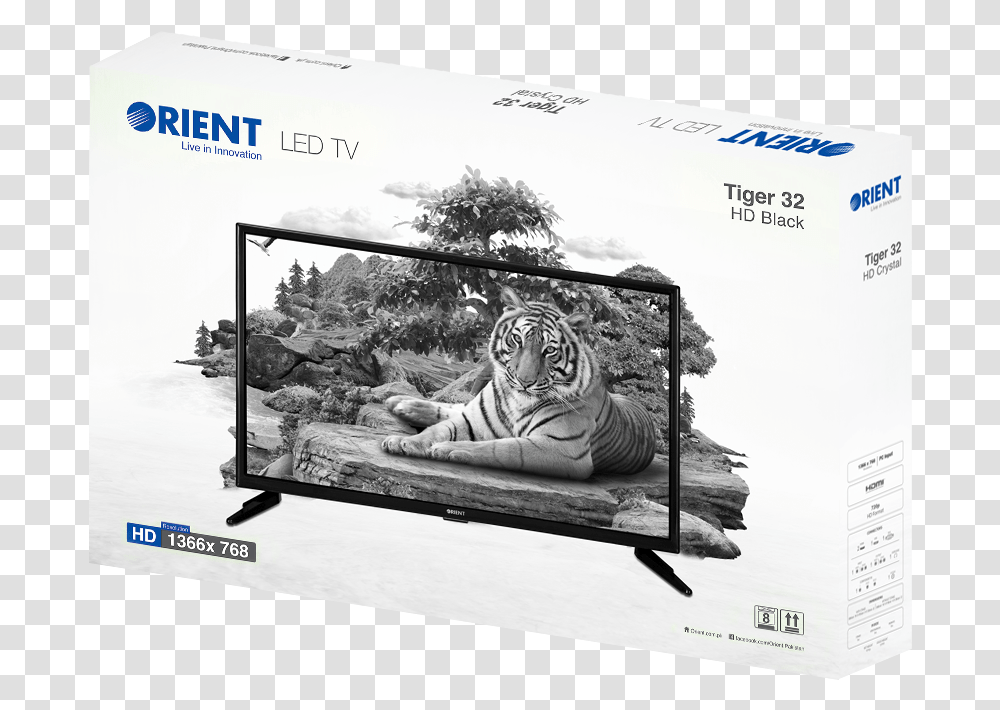 Multimedia Software, Tiger, Wildlife, Mammal, Animal Transparent Png