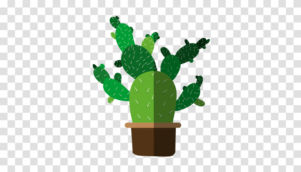 Multiple Flat Cactus Pot Drawing, Plant, Food, Leaf, Vegetable Transparent Png