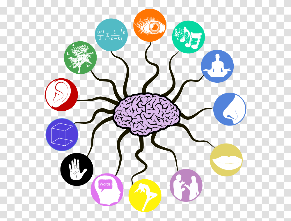 Multiple Intelegences Clipart Brain Memory, Ball, Balloon, Sphere Transparent Png