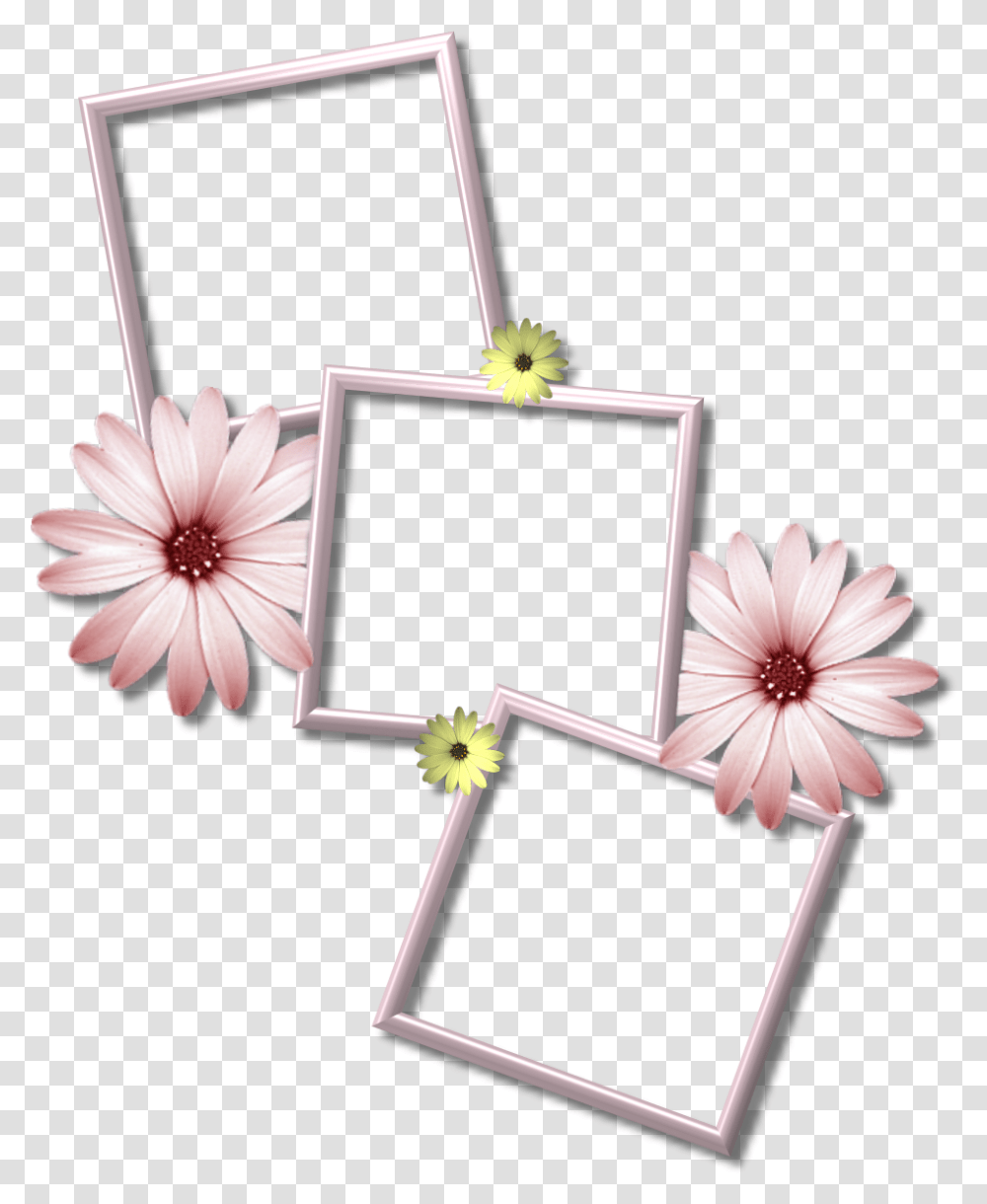 Multiple Picture Frame, Lamp, Plant, Flower, Blossom Transparent Png