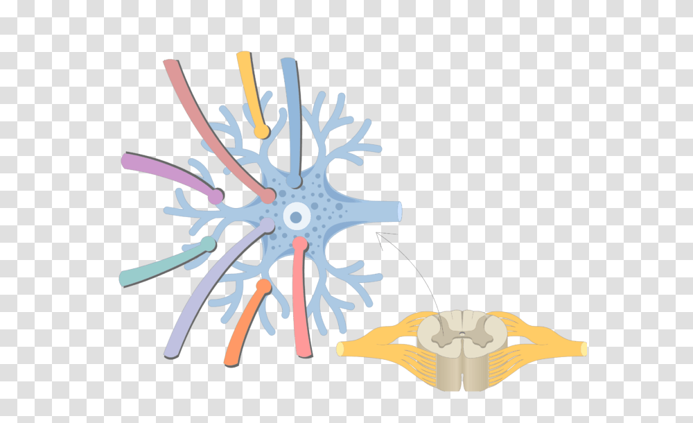 Multipolar Neurons, Wheel, Machine, Hand, Face Transparent Png