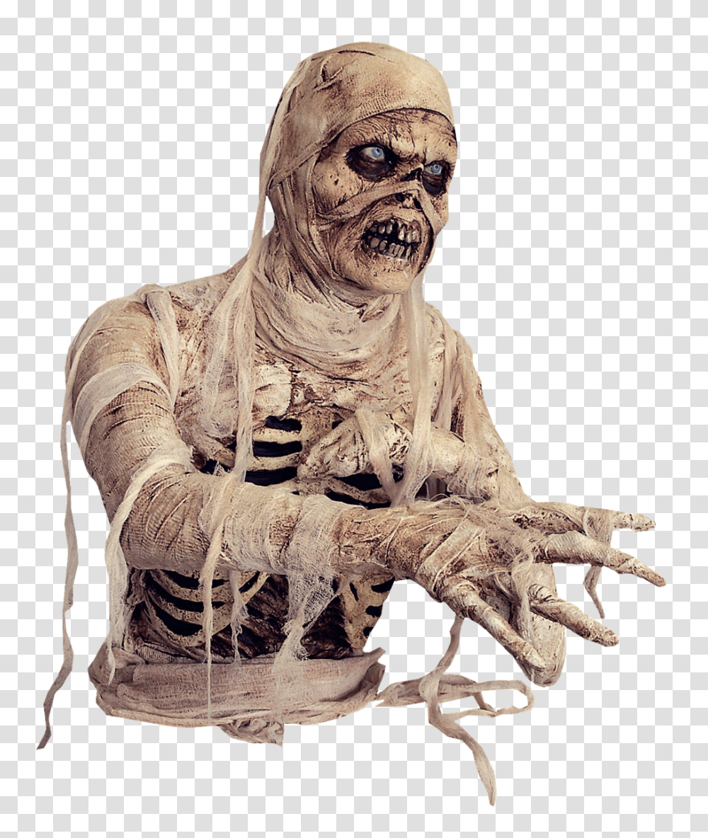 Mummy, Fantasy, Person, Figurine, Head Transparent Png