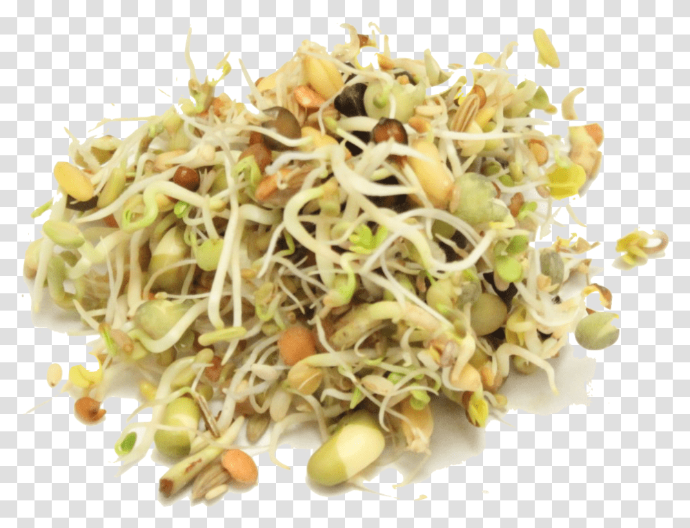 Mung Bean, Plant, Produce, Food, Sprout Transparent Png