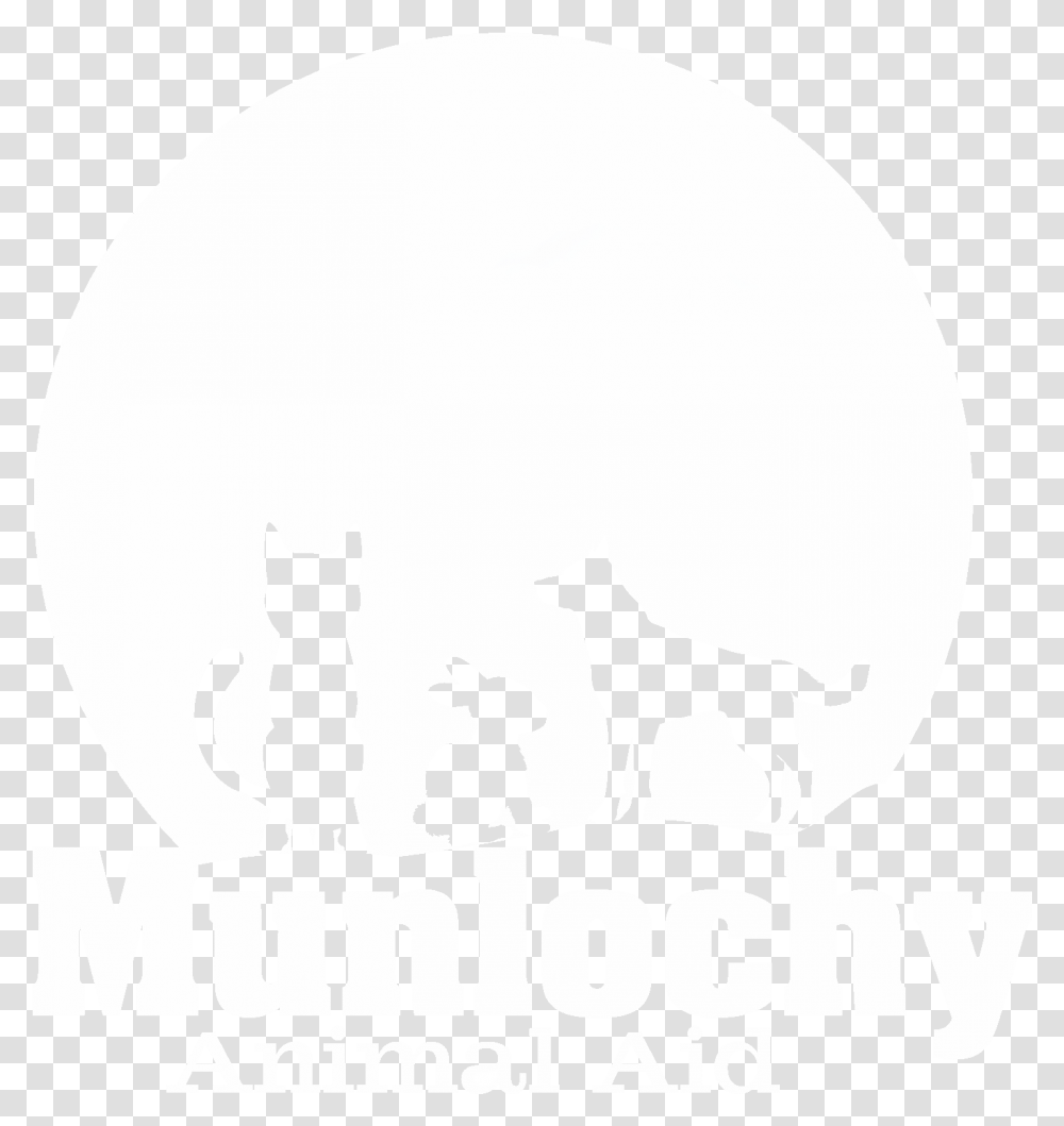 Munlochy Animal Aid Catch 22, Stencil, Silhouette, Pet, Mammal Transparent Png