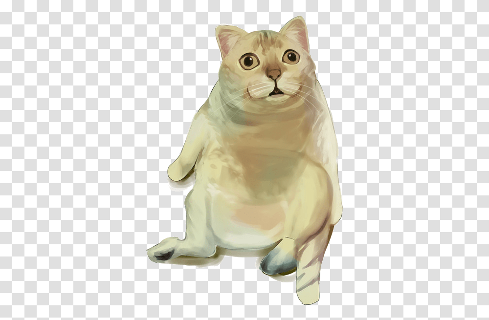 Mur, Animal, Mammal, Pet, Cat Transparent Png