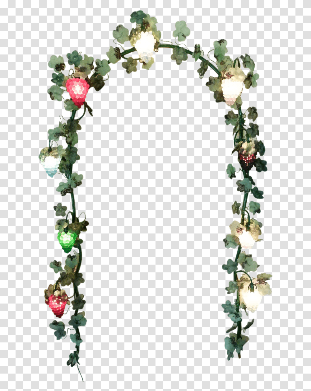 Murano Arch Wall Light With Bunches Of Grapes Garden Roses, Plant, Flower, Blossom, Petal Transparent Png