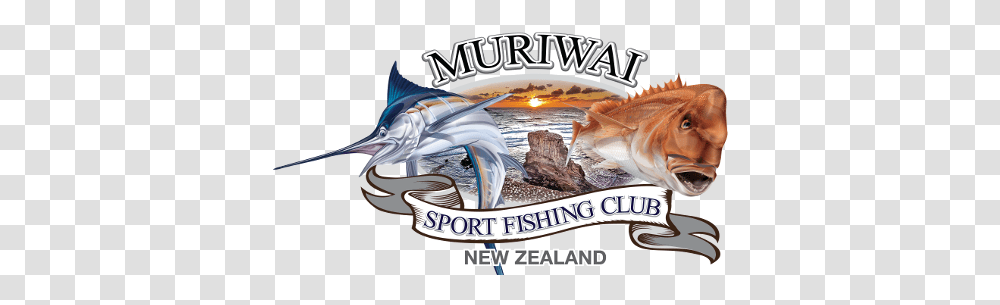 Muriwai Sport Fishing Club Atlantic Blue Marlin, Sea Life, Animal, Poster, Advertisement Transparent Png