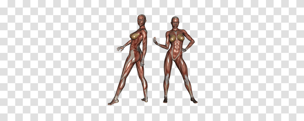 Muscle Sport, Person, Human, Female Transparent Png