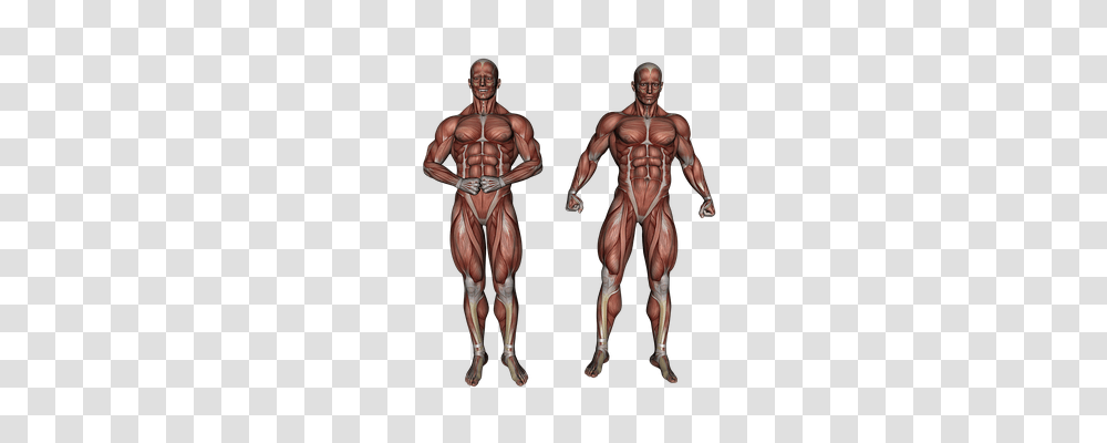 Muscle Technology, Person, Human, Female Transparent Png