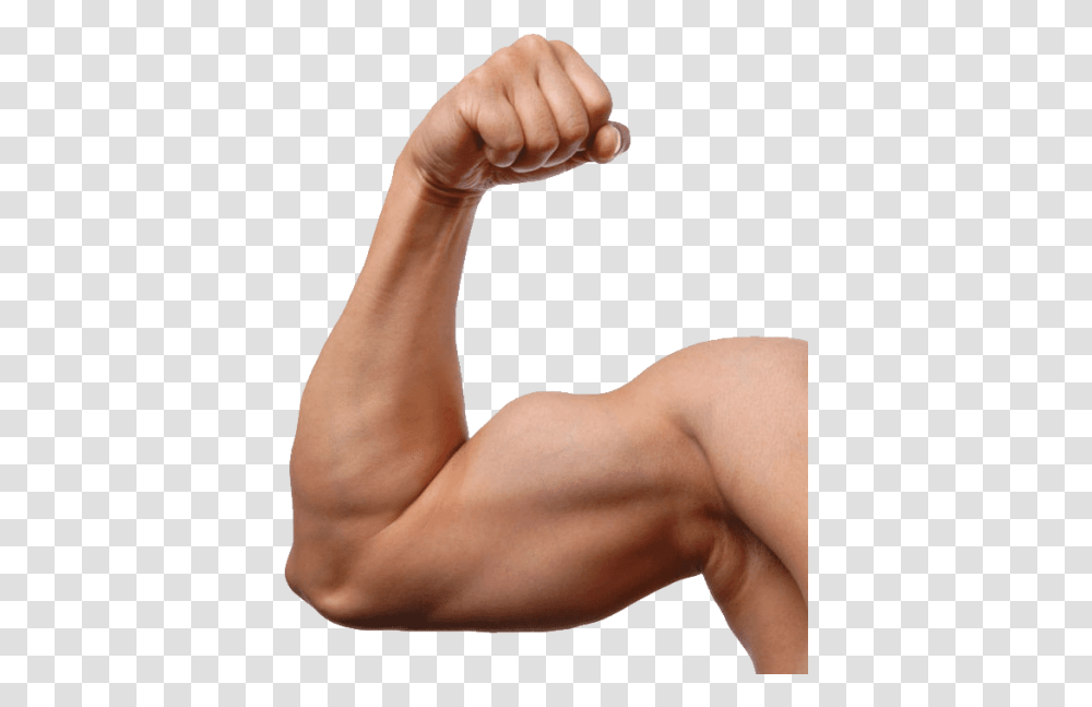 Muscle, Arm, Person, Human Transparent Png