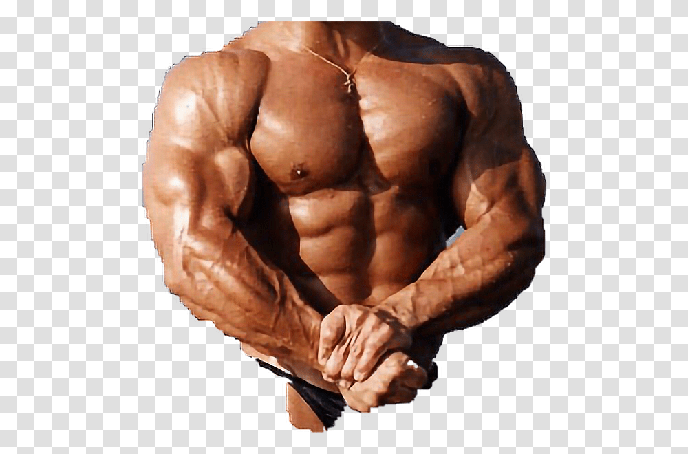 Muscle Body Male Strong Ripped Bod Dadbod Freetoedit Gnome Bodybuilder, Arm, Person, Human, Torso Transparent Png