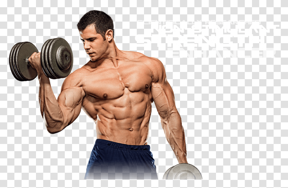 Muscle File Download Free Weight Training, Person, Human, Fitness, Working Out Transparent Png