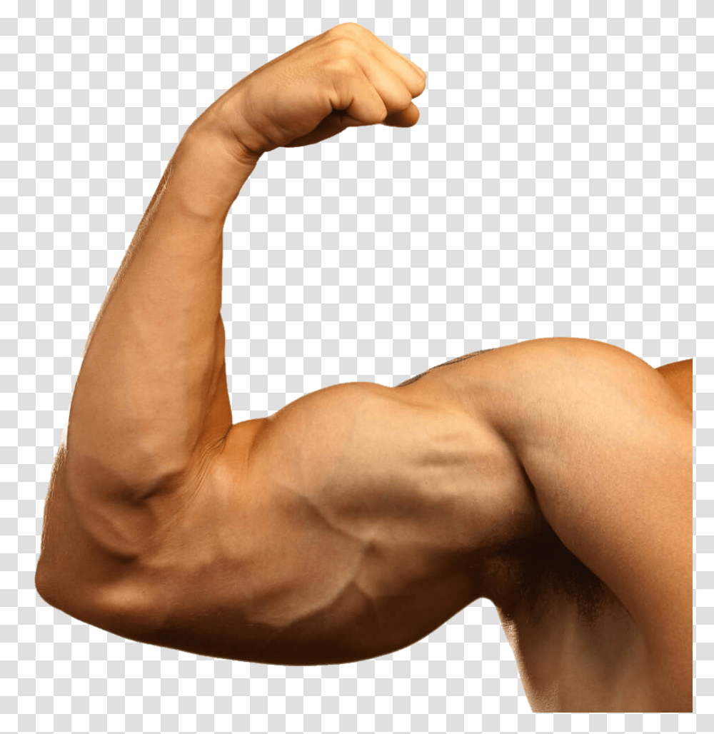 Muscle Hand Muscle Arm, Person, Human, Finger Transparent Png