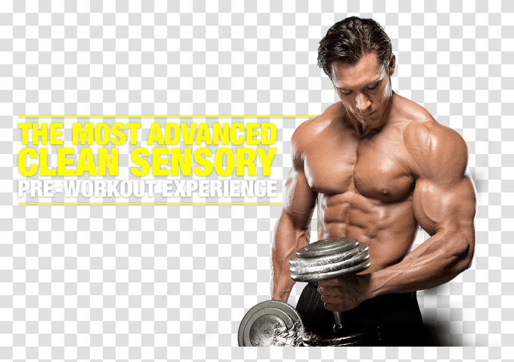 Muscle High Quality Workout Gym, Fitness, Working Out, Sport, Person Transparent Png