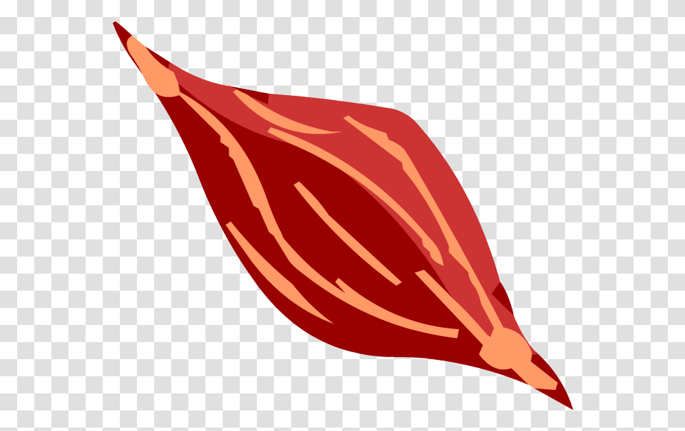Muscle Icon Muscle Cell, Plant, Food, Vegetable, Lute Transparent Png