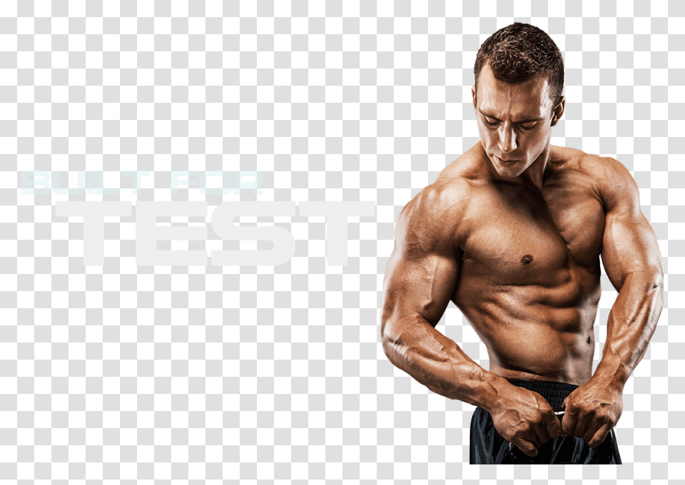 Muscle Image File Ayurveda Body Mass, Person, Human, Fitness, Working Out Transparent Png