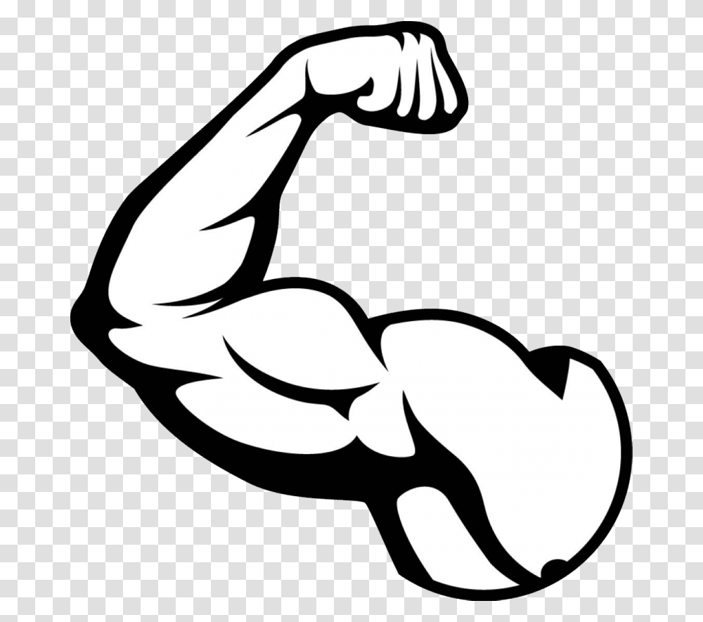 Muscle Image Muscle, Bird, Animal, Stencil Transparent Png