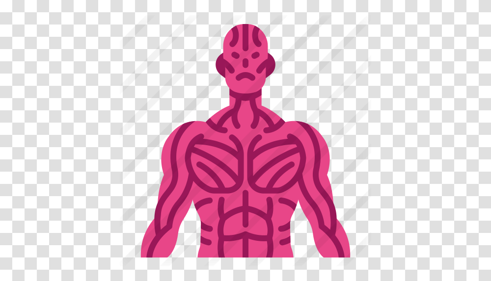 Muscle Muscles Flaticon, Drawing, Art, Text, Back Transparent Png