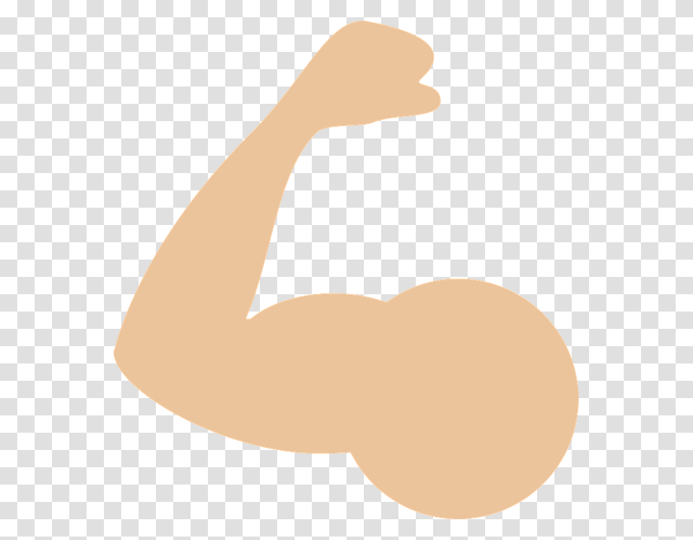Muscle, Person, Arm, Hand, Lamp Transparent Png