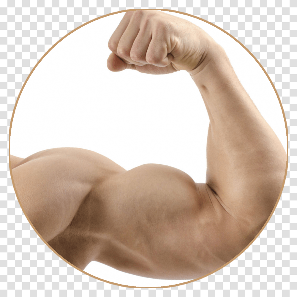 Muscle, Person, Arm, Human, Hand Transparent Png