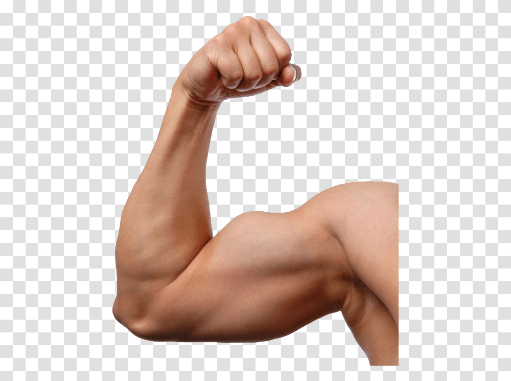 Muscle, Person, Arm, Human, Hand Transparent Png