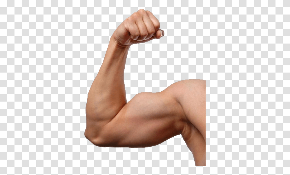 Muscle, Person, Arm, Human, Shoulder Transparent Png