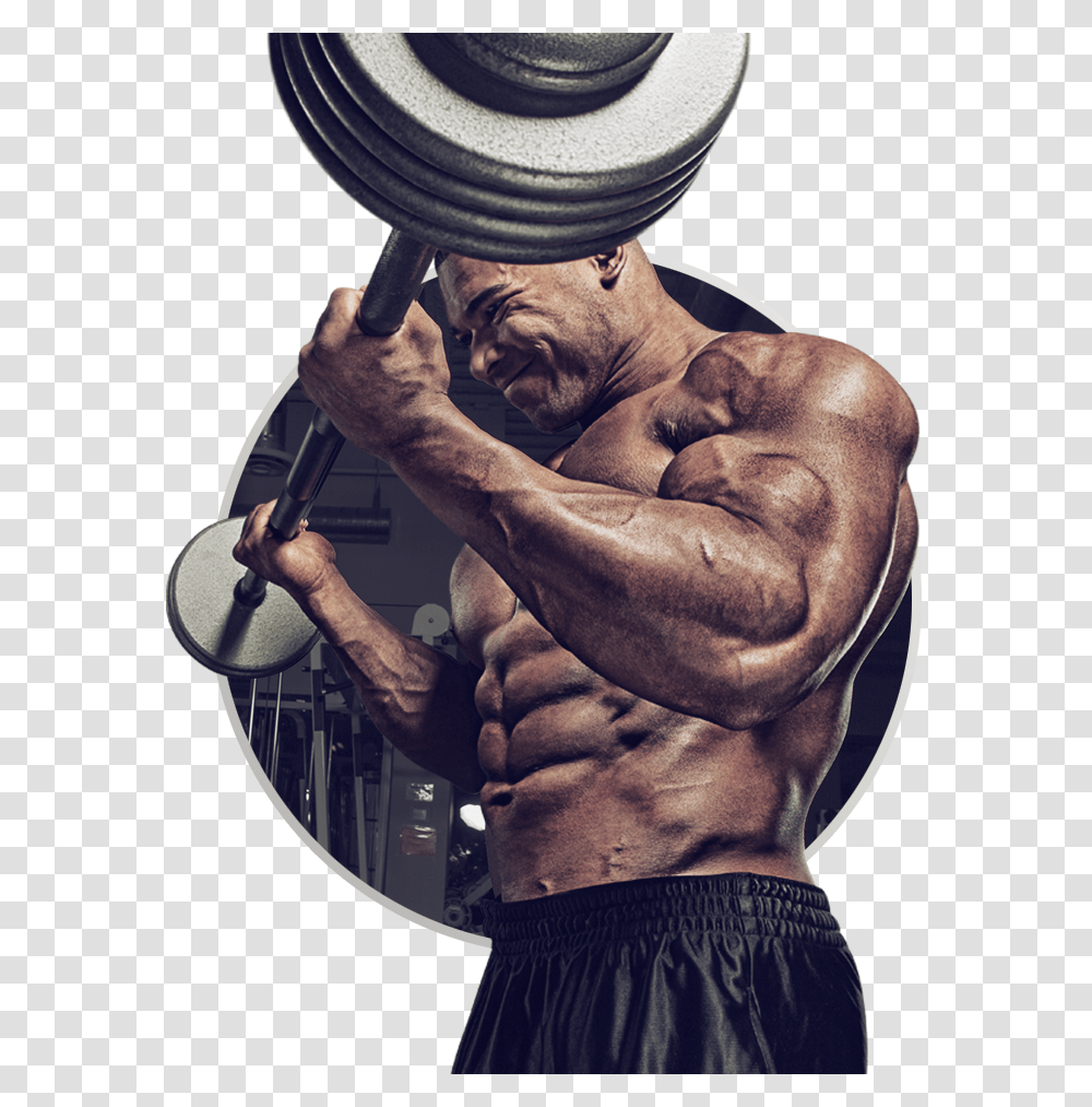 Muscle, Person, Human, Arm, Working Out Transparent Png