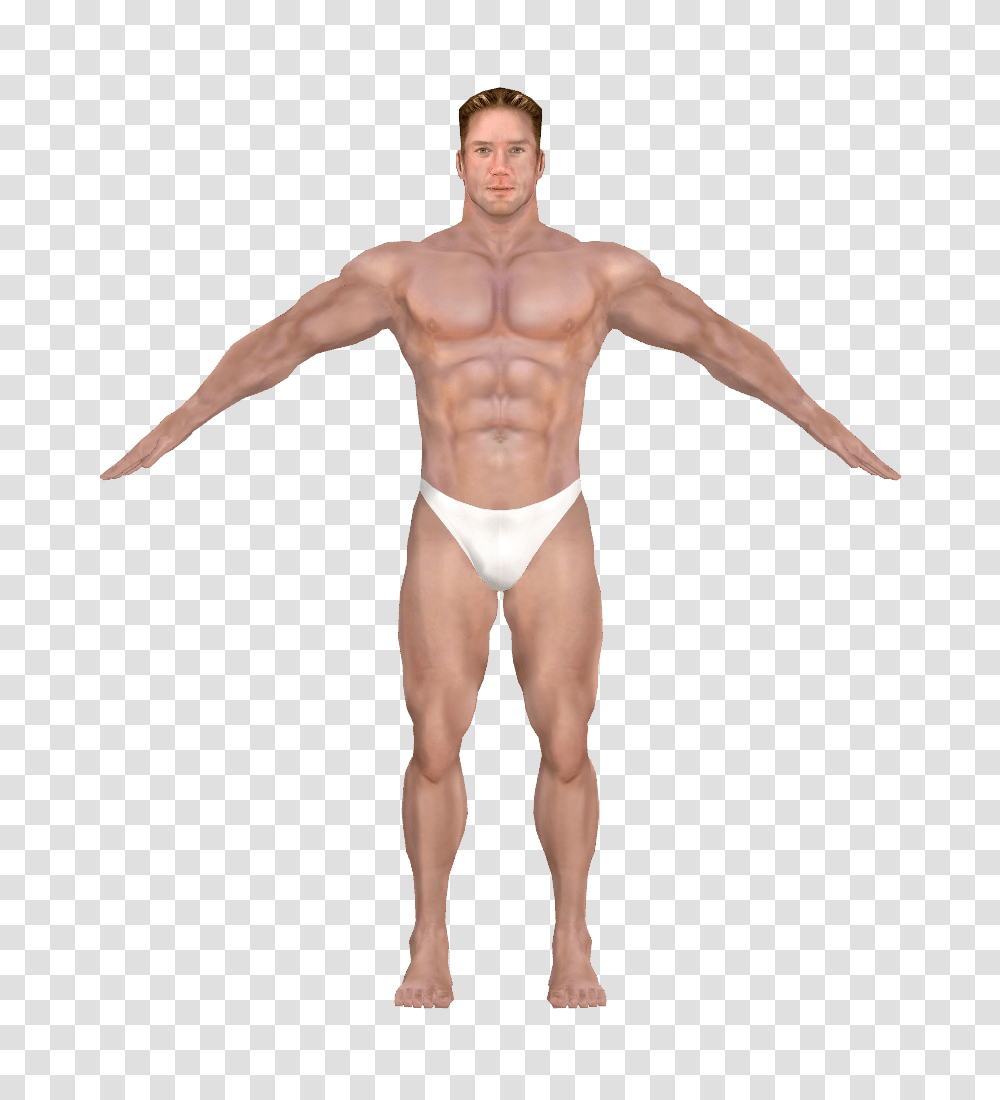 Muscle, Person, Human, Standing, Torso Transparent Png