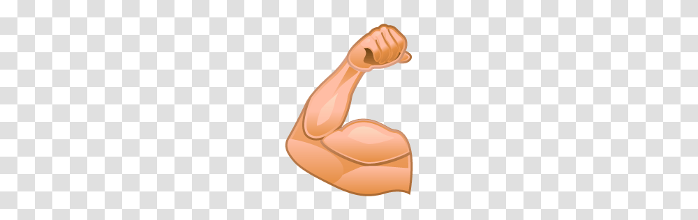Muscle, Person, Lamp, Hand, Arm Transparent Png