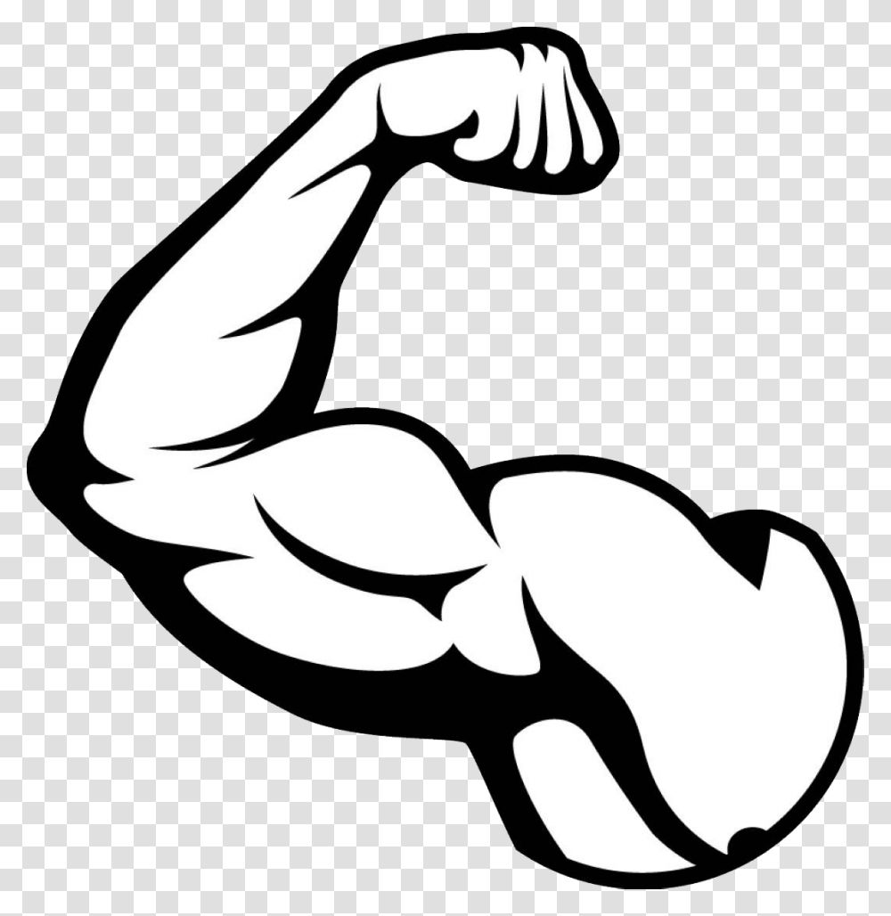 Muscle, Person, Stencil, Animal, Bird Transparent Png