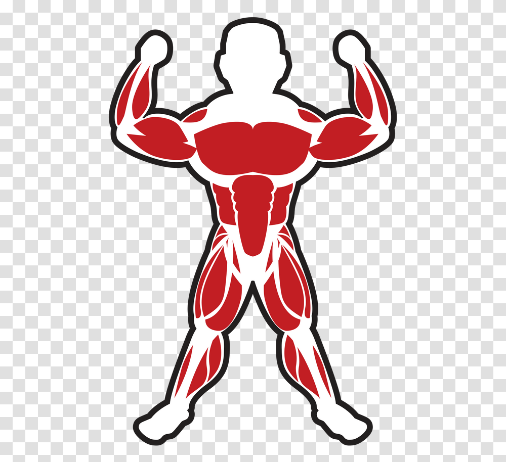 Muscles Clipart Skeletal Muscle Skeletal Muscle Clip Art, Advertisement, Person, Human Transparent Png