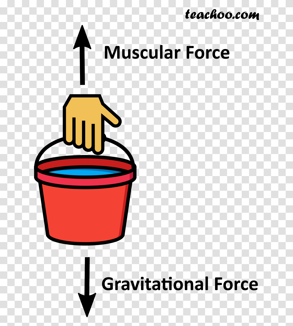 Muscular And Gravitational Force On A Bucket Gravitational Force For Class Transparent Png