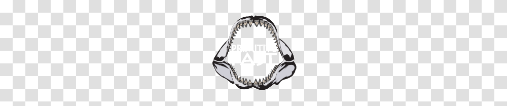 Museum Quality Megalodon Shark Teeth Relics Fossils, Label, Baseball Cap Transparent Png