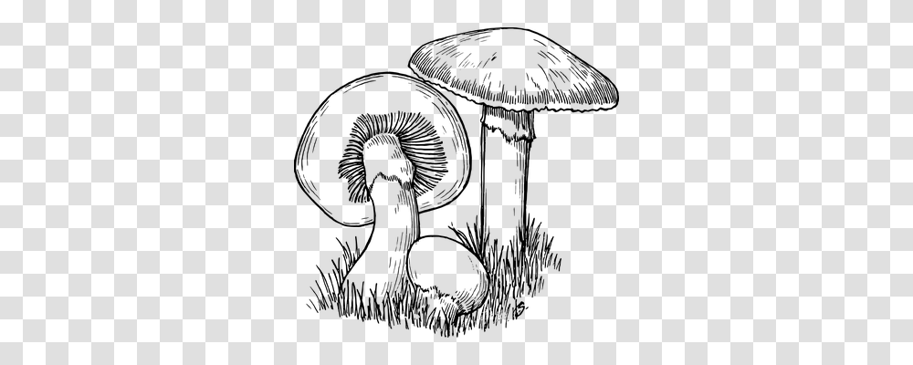 Mushroom Nature, Gray, World Of Warcraft Transparent Png