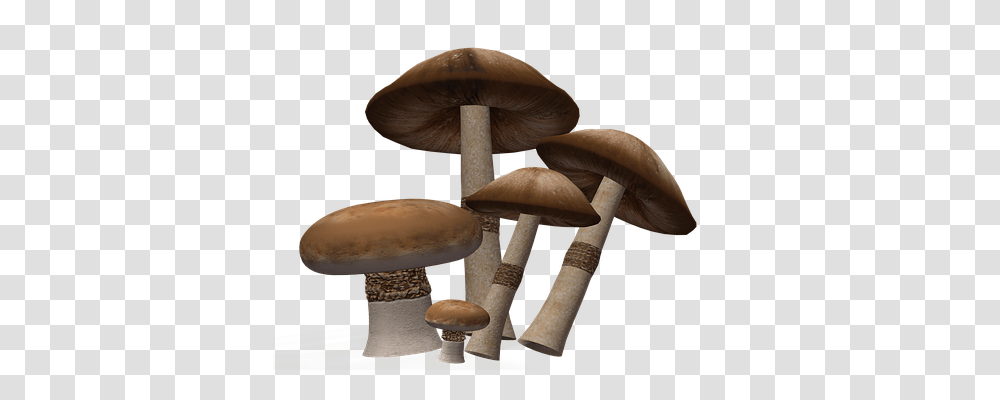 Mushroom Nature, Plant, Amanita, Agaric Transparent Png