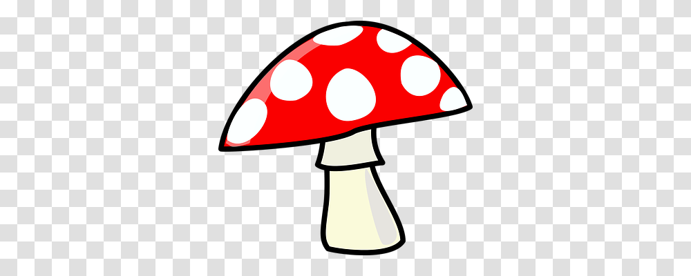 Mushroom Nature, Plant, Lamp, Agaric Transparent Png