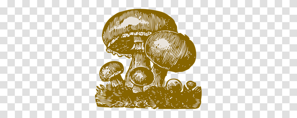 Mushroom Nature, Plant, Amanita, Agaric Transparent Png